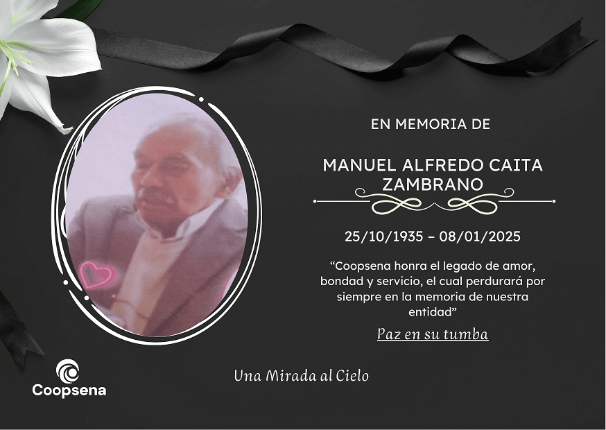 Descripción de la imagen 1