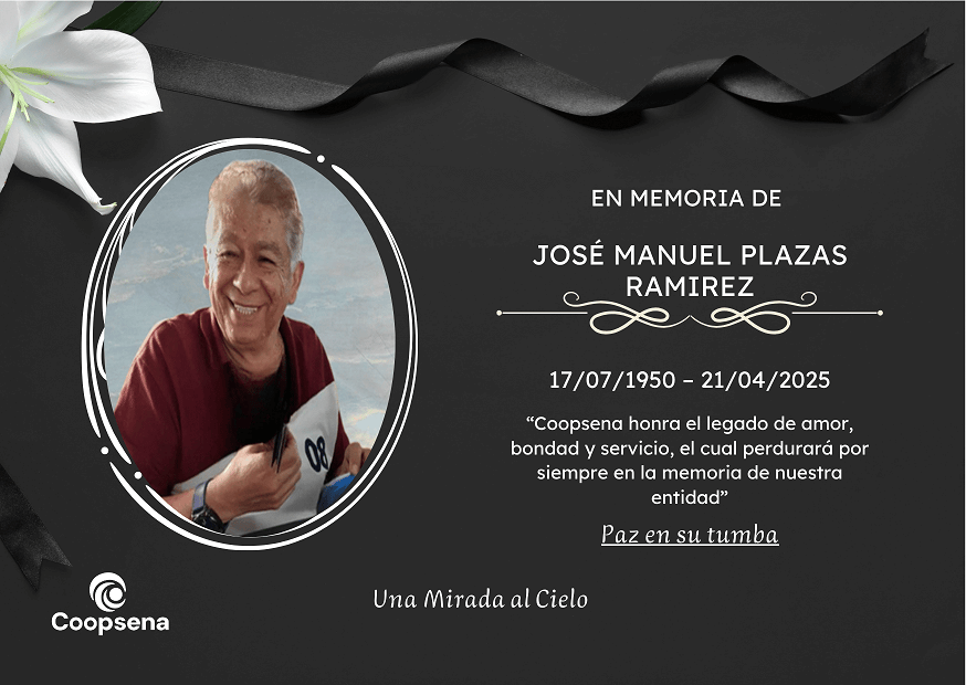 Descripción de la imagen 4