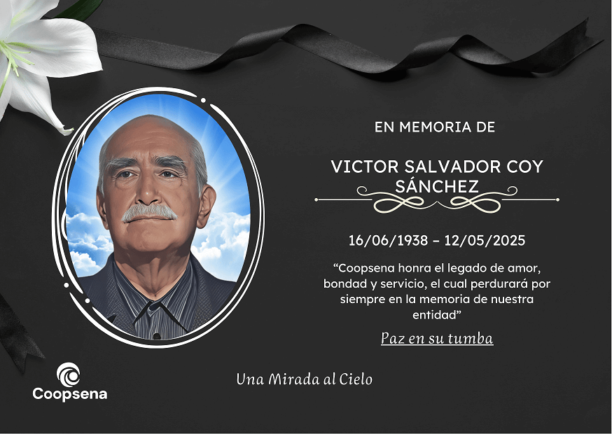 Descripción de la imagen 3