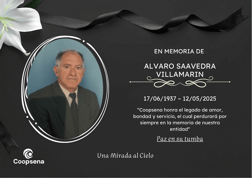 Descripción de la imagen 4