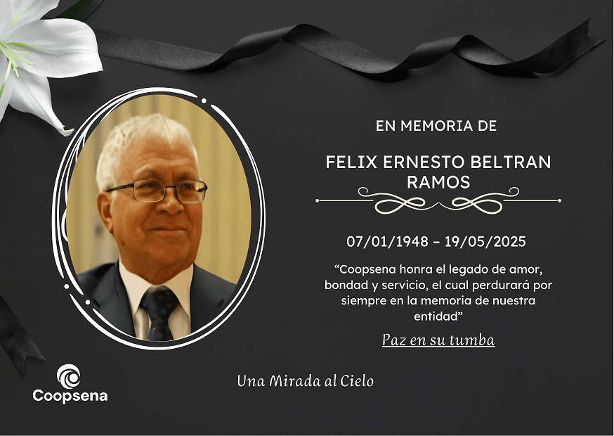 Descripción de la imagen 3