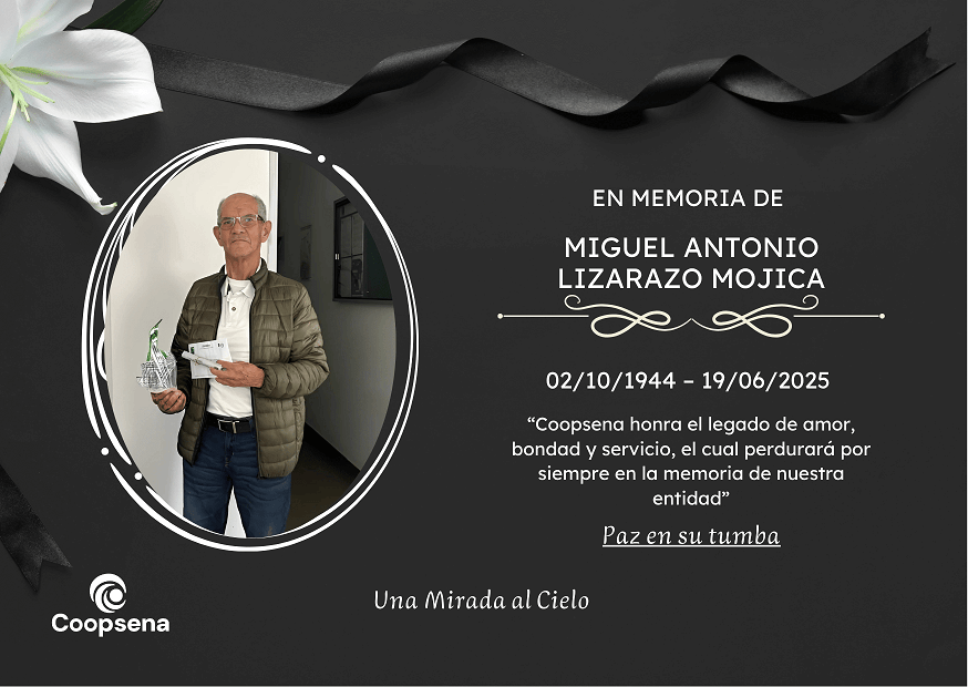 Descripción de la imagen 4