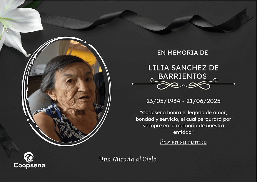 Descripción de la imagen 3