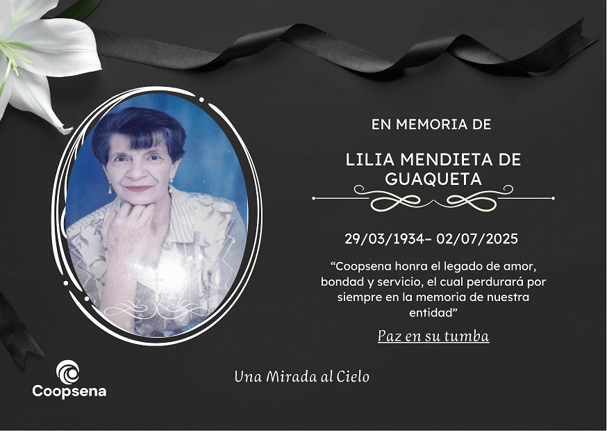 Descripción de la imagen 4