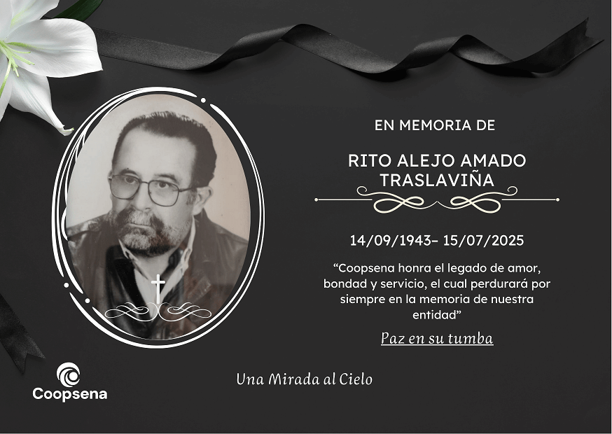 Descripción de la imagen 3