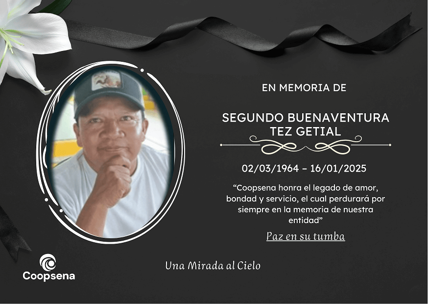 Descripción de la imagen 2