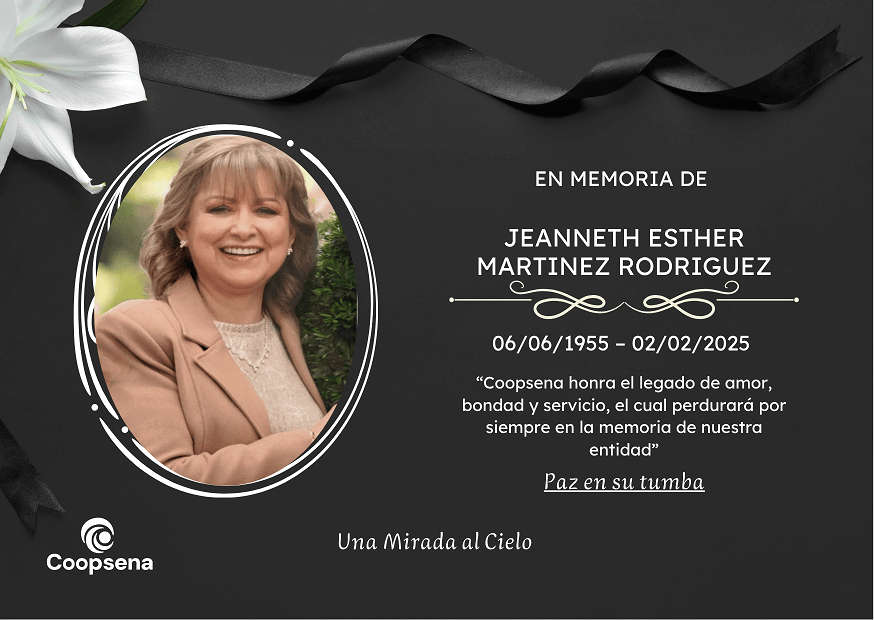 Descripción de la imagen 3