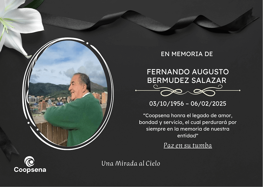 Descripción de la imagen 4