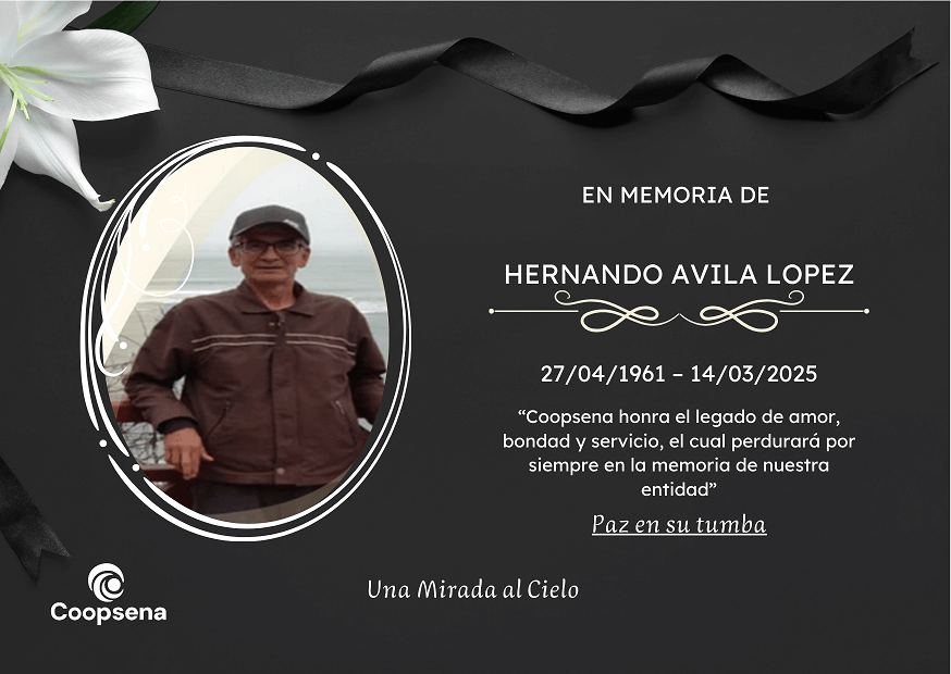 Descripción de la imagen 3