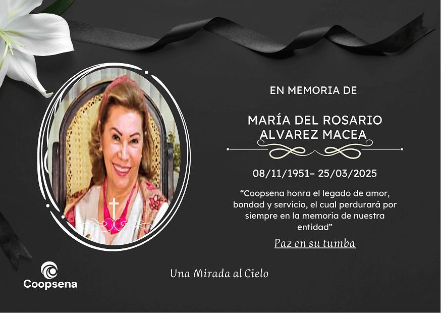 Descripción de la imagen 4