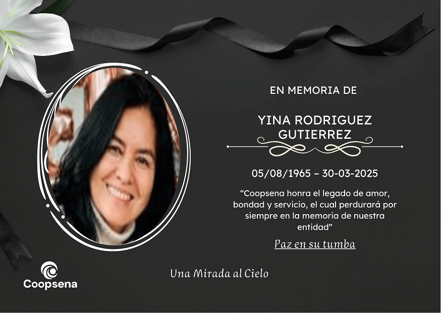 Descripción de la imagen 3