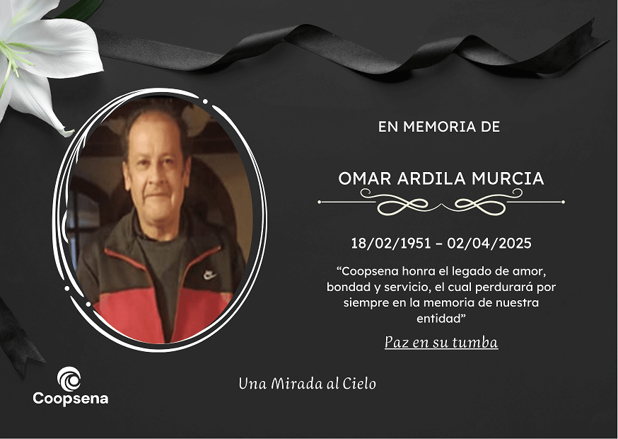 Descripción de la imagen 4