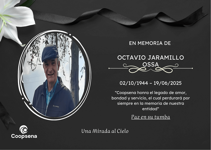 Descripción de la imagen 3